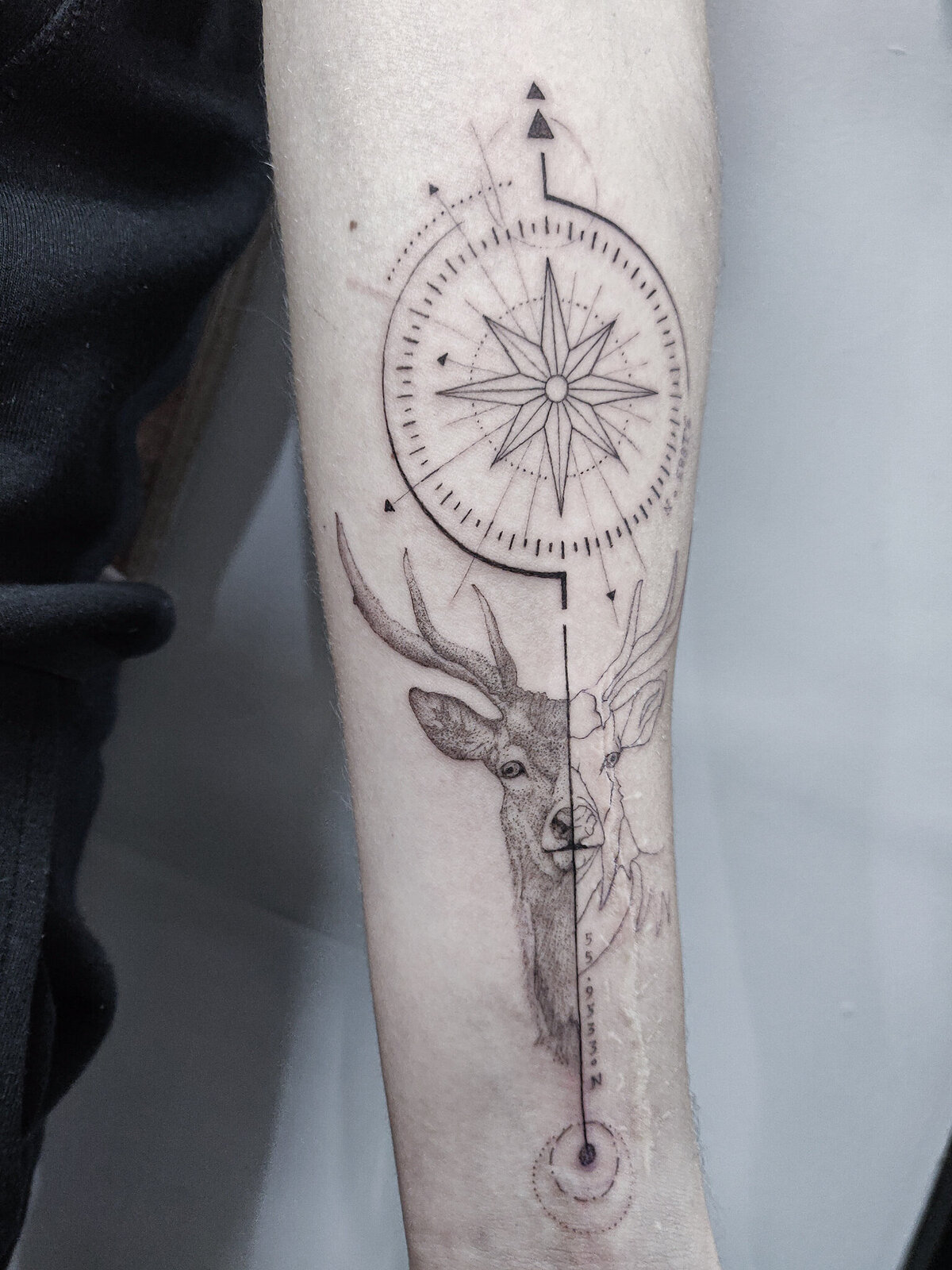 compass tattoo, stag tattoo, fine line tattoo, dotwork tattoo