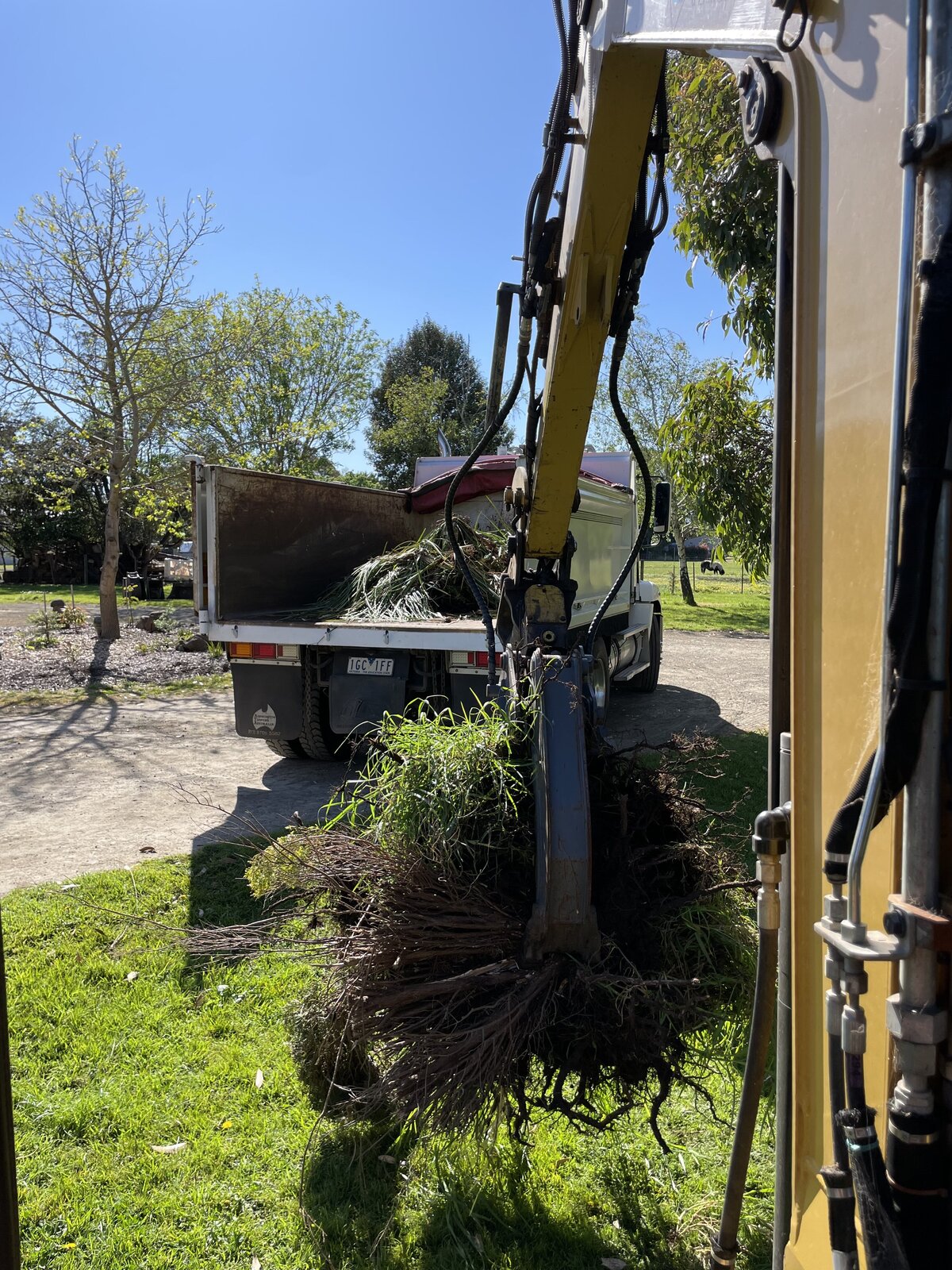 tight access vegetation removal and disposal