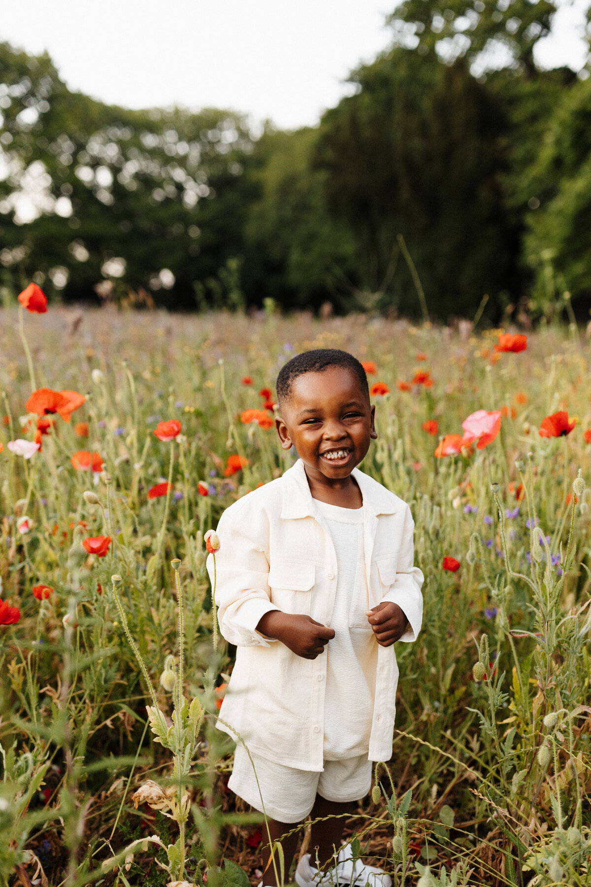 A little boy laughs at the camera while lucy jane takes his portrait in a field of poppies in christchurch