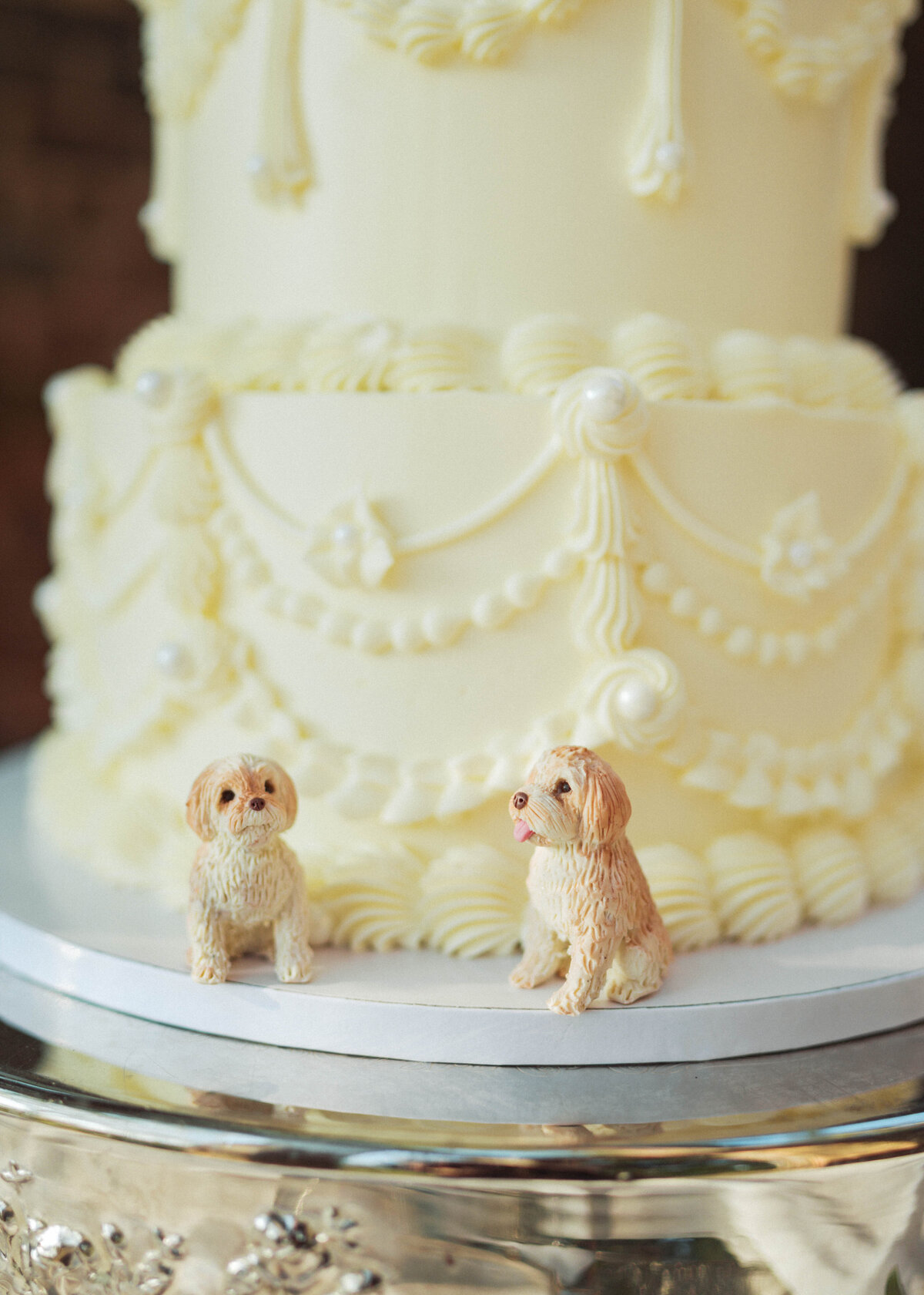20241221_SCWedding_TLC-954