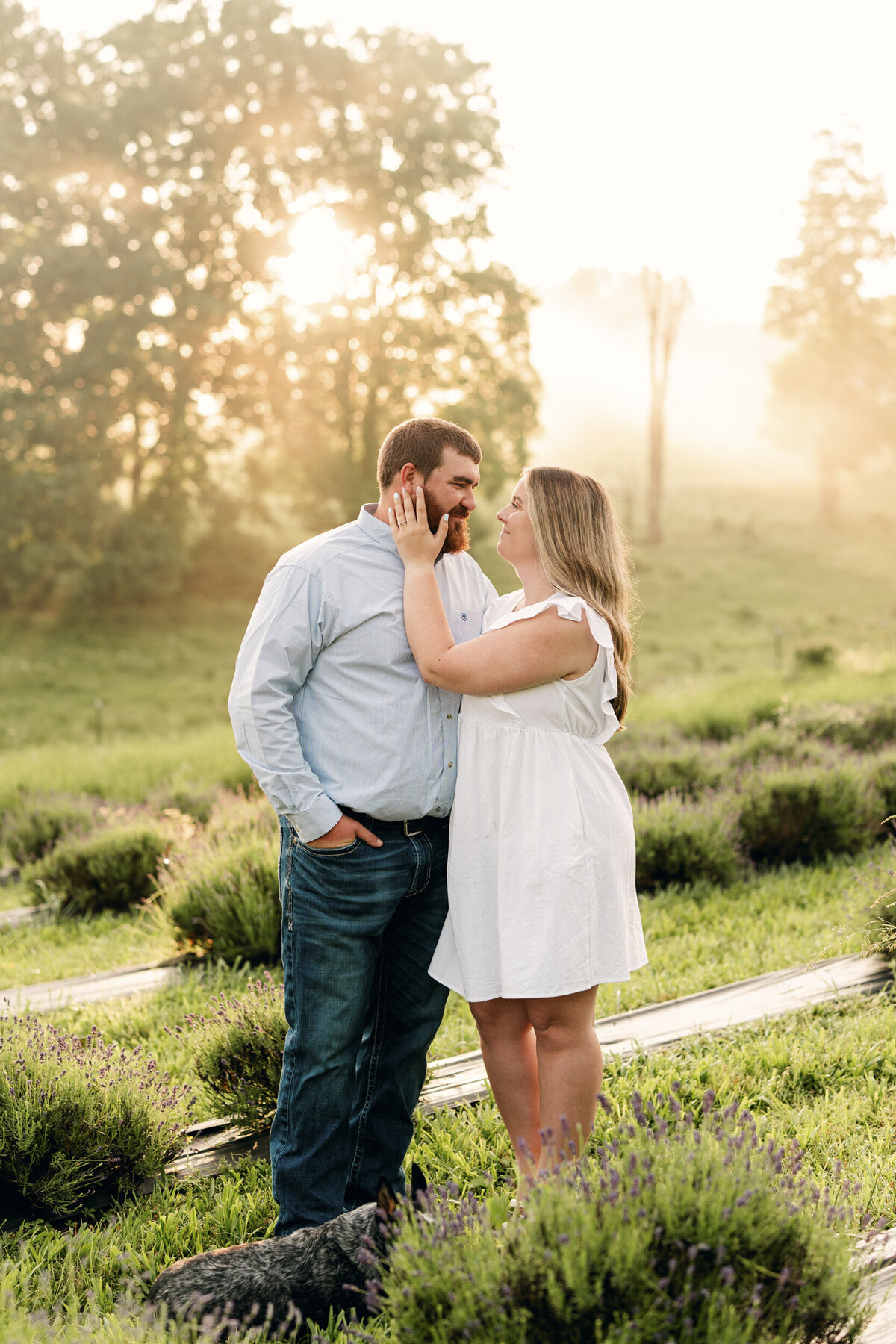 WVWedding-259
