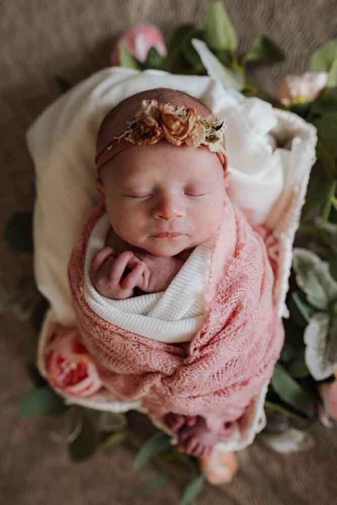 Elizabeth Priniski Madison Newborn Photographer Celia_-13
