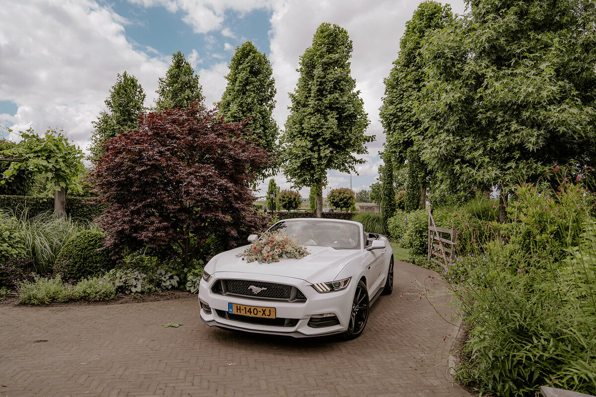 Anna Hage Fotografie-328