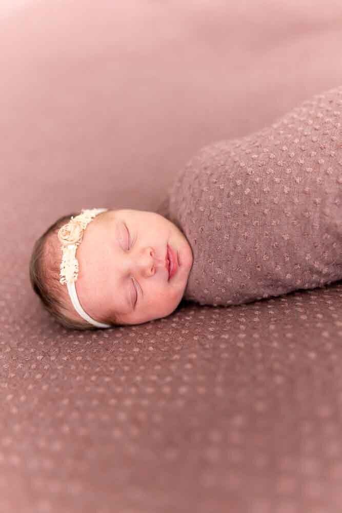 Elizabeth Priniski Madison Family Photographer Connie-5