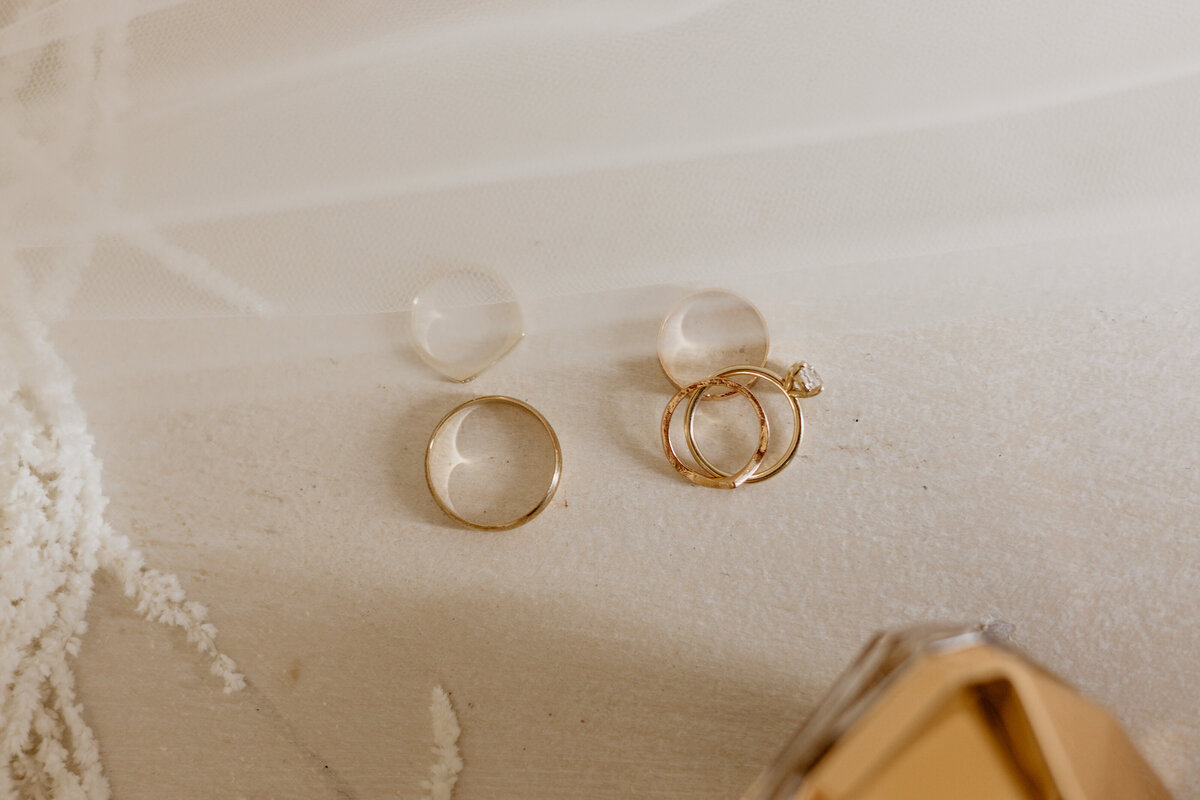 Ringe bei Hochzeit in Südafrika im Bakenhof Wellington