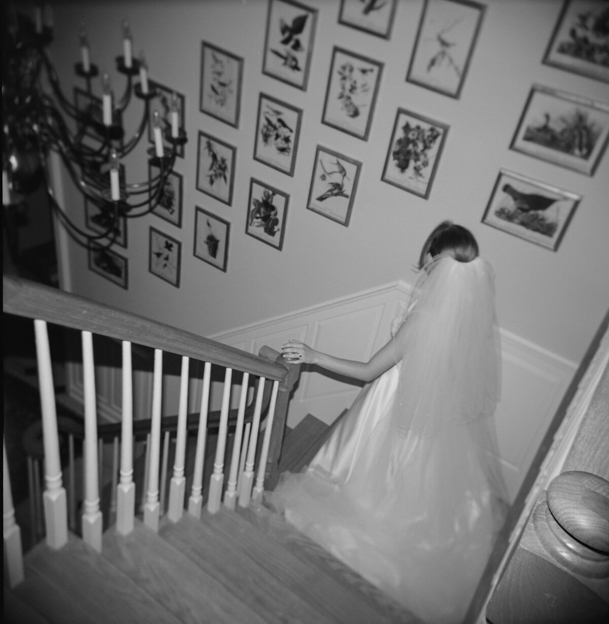 Annalise & Jonathan Tented Private Residence Connecticut Wedding-41