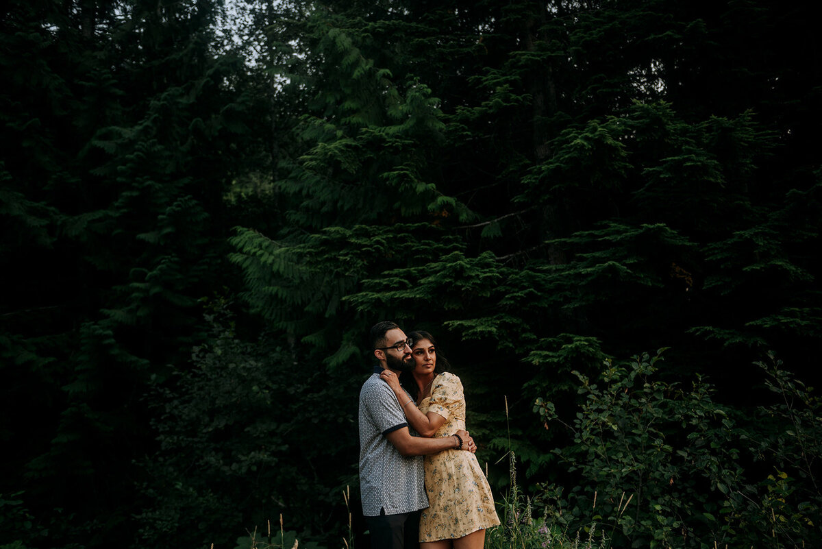 Whistler Proposal - Taluswood15