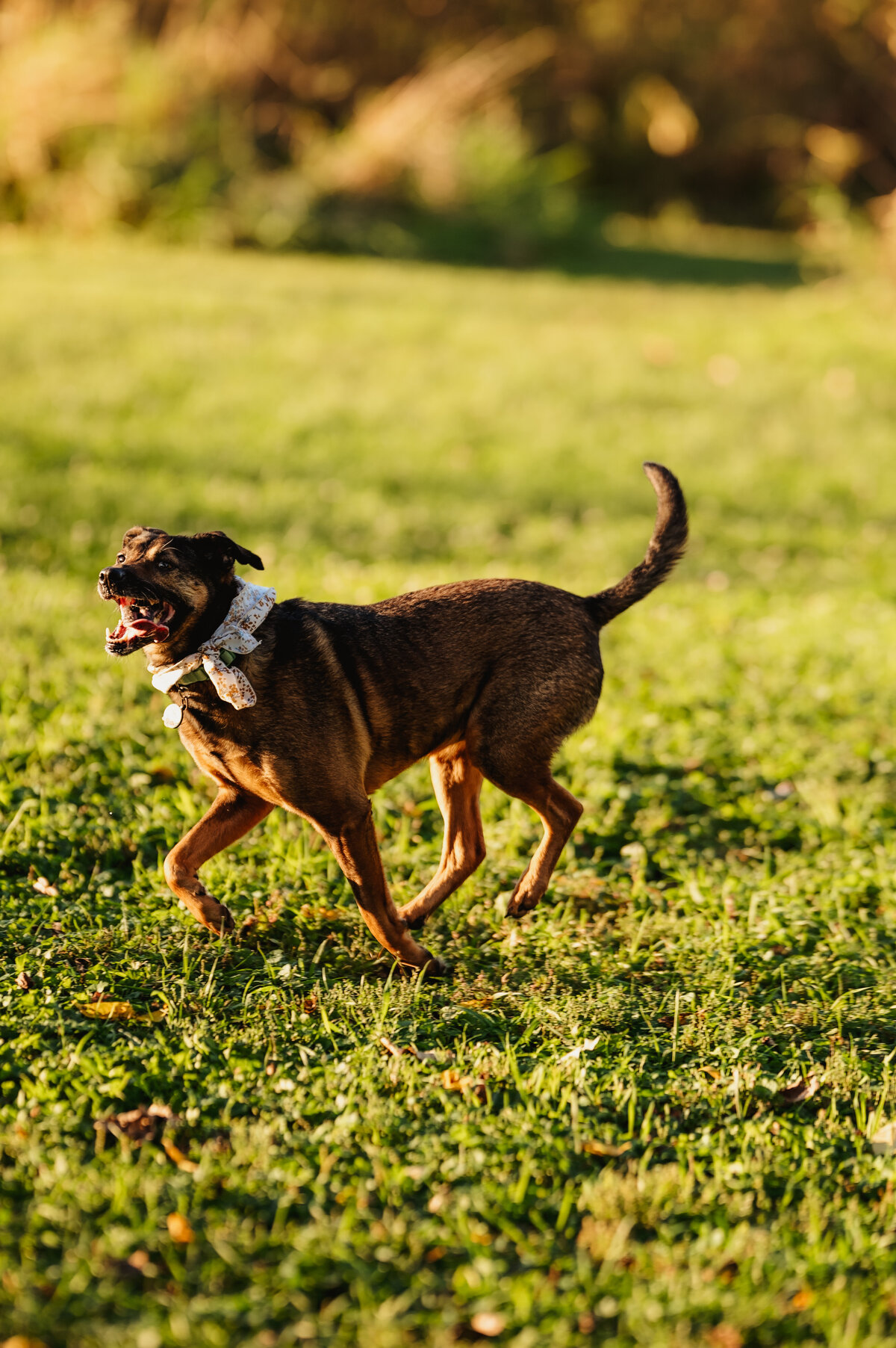 NicoleS_Fall2025_059