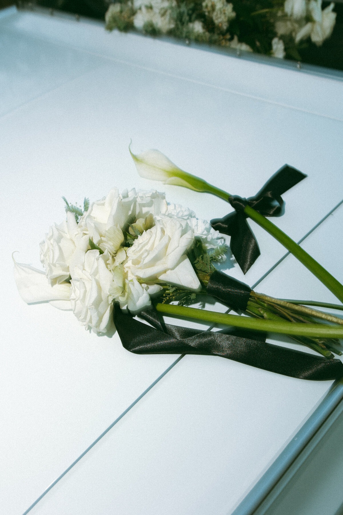 San Antonio wedding photographer