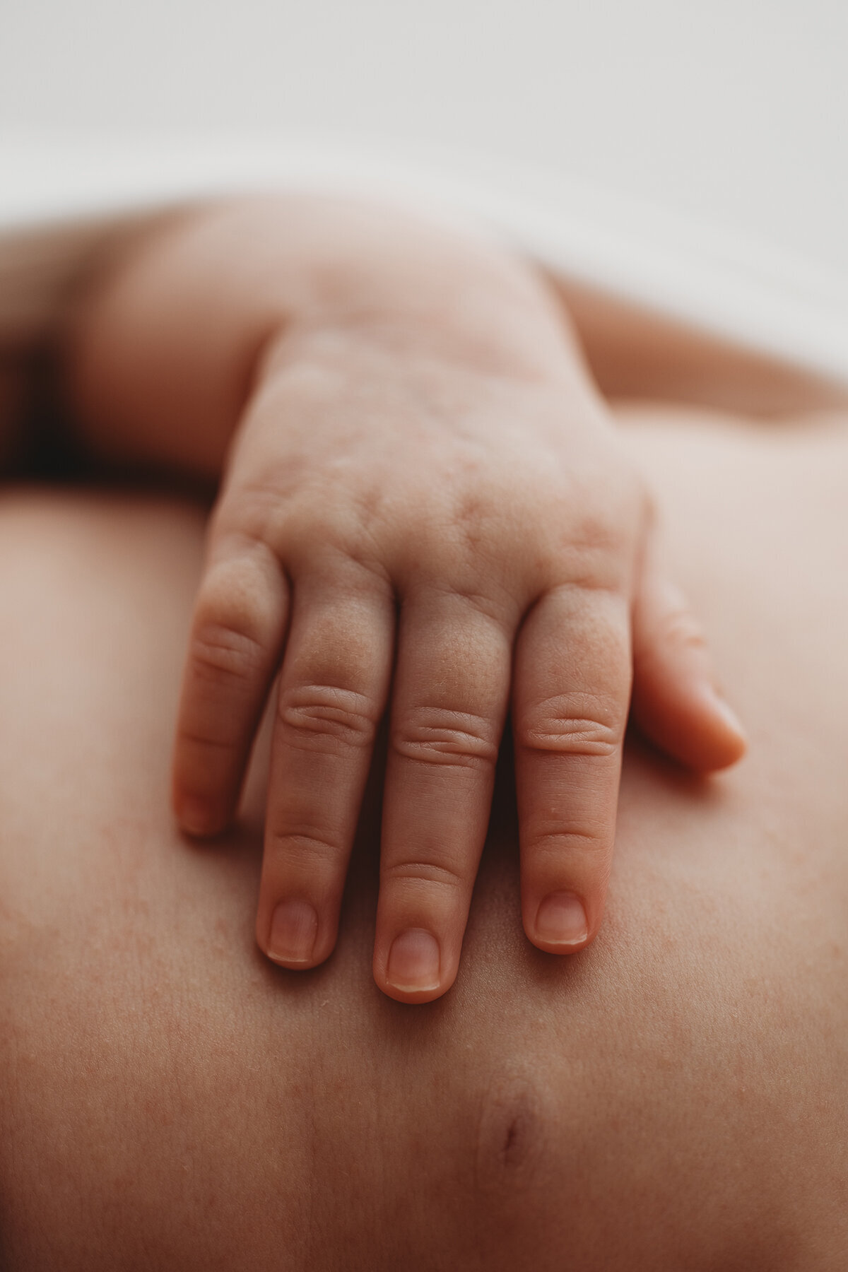 newborn photographer phoenix2