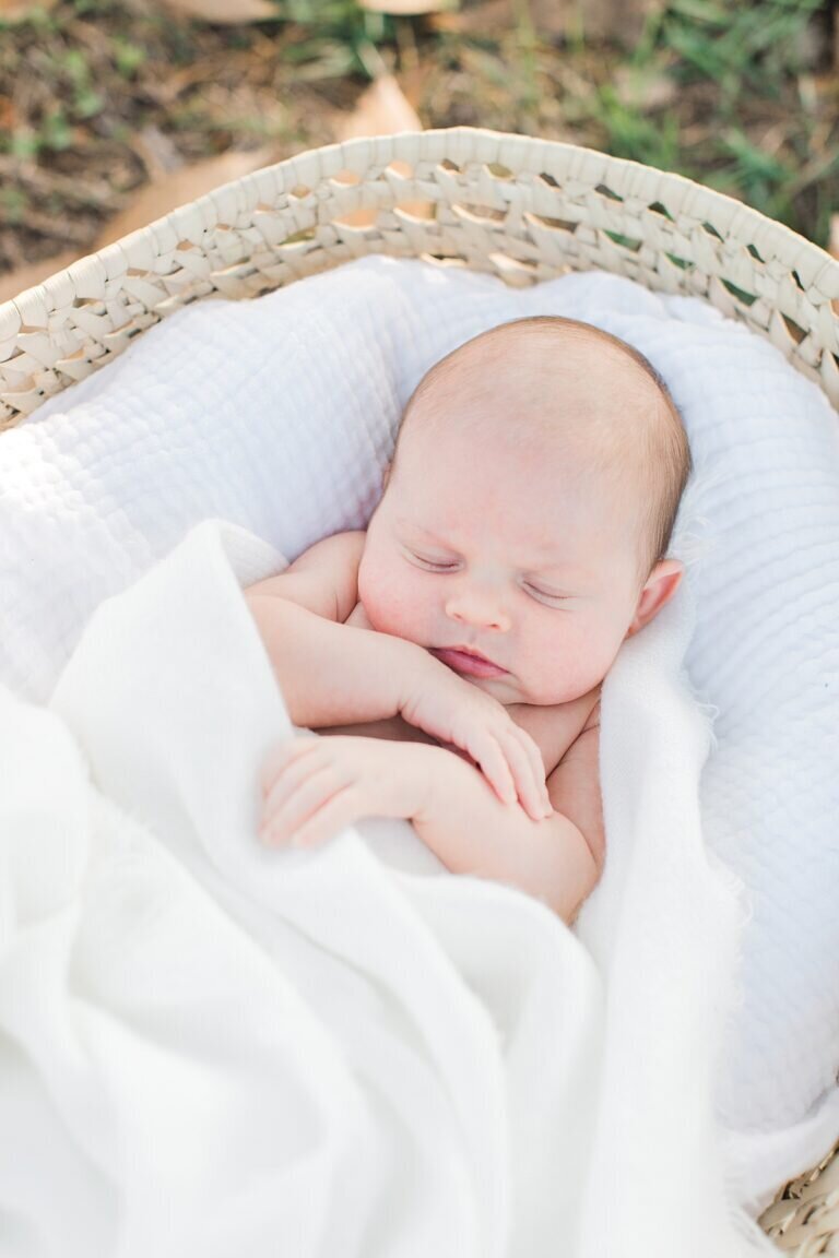 destin-newborn-photographer-3-768x1152