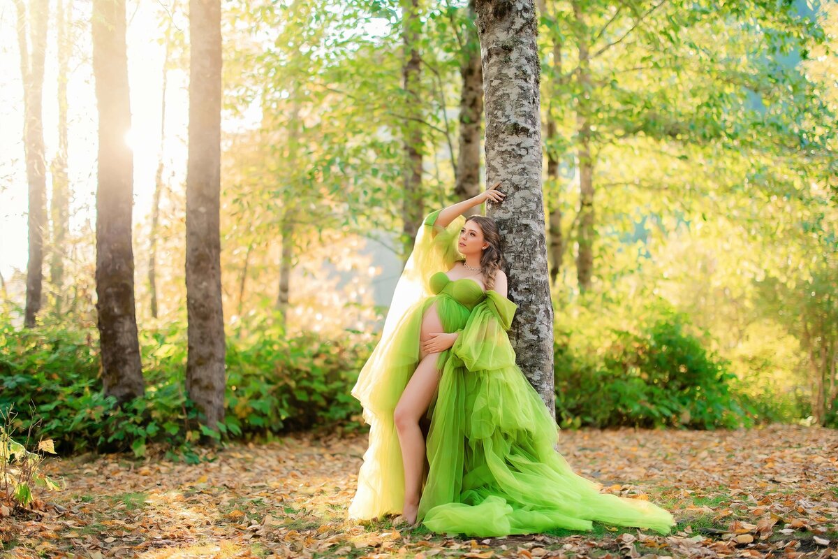 Chicago maternity client closet