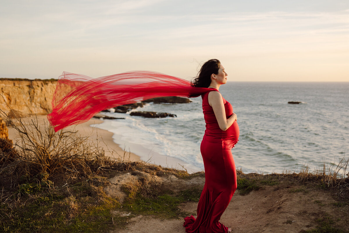 Santa Cruz Forest and Beach Maternity Session Lisa-14