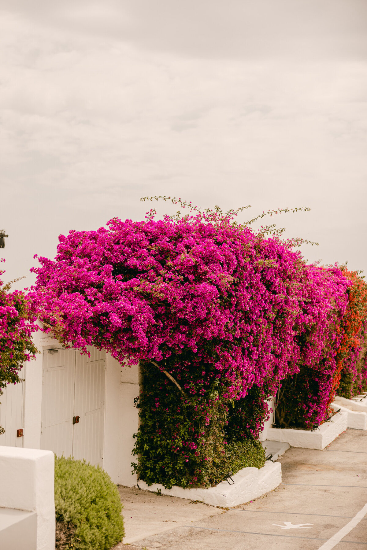 Island Art and Taste Athens Wedding Planner 3