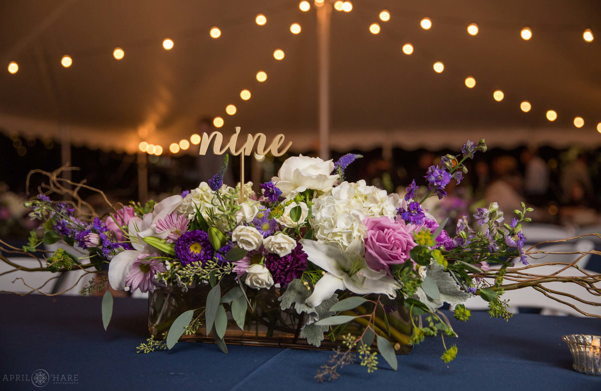 Chatfield Farms Denver Botanic Gardens Wedding tent set up for a summer reception in Colorado
