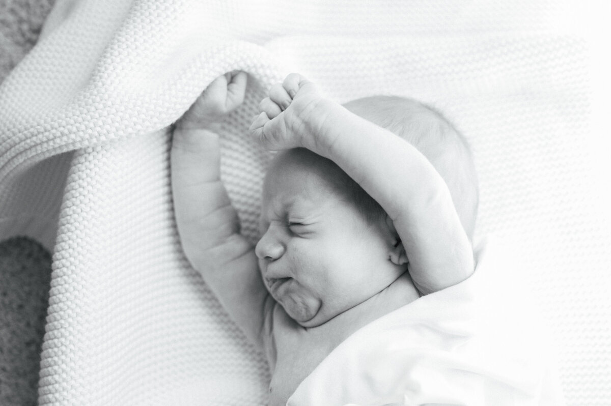 family, newborn, maternity photography in Dallas Fort-Worth
