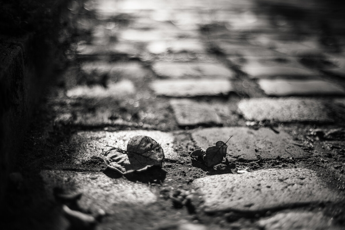 fine_art_photographer _129