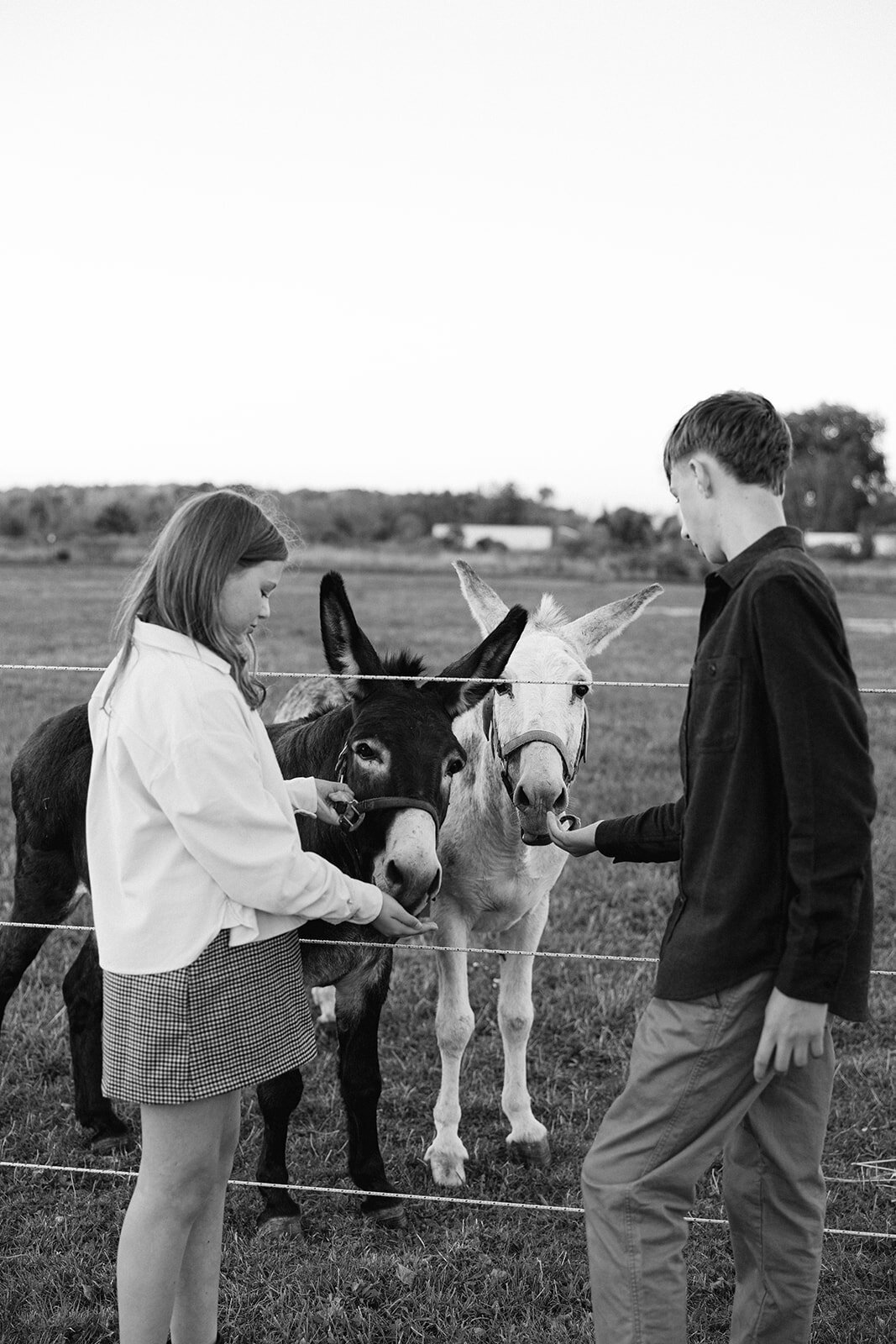 shank-family-2025-135