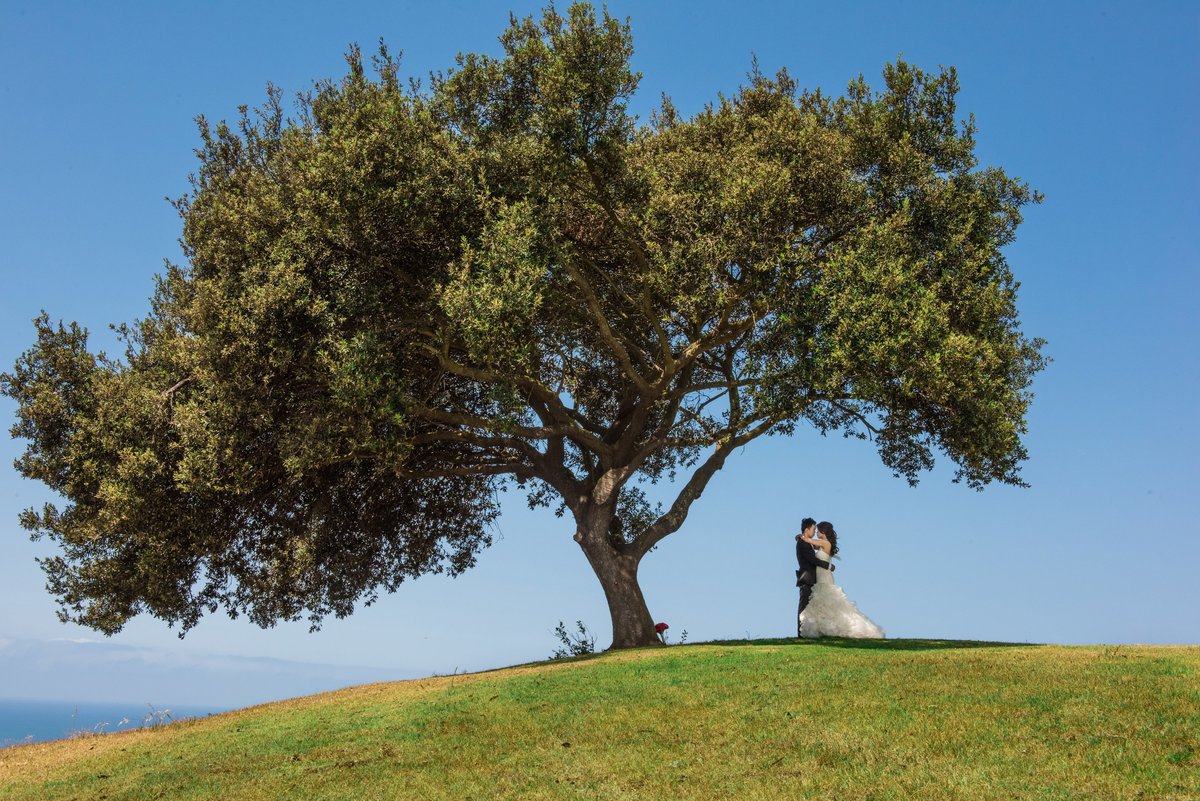 Los_Verde_Country_Club_Wedding-8022