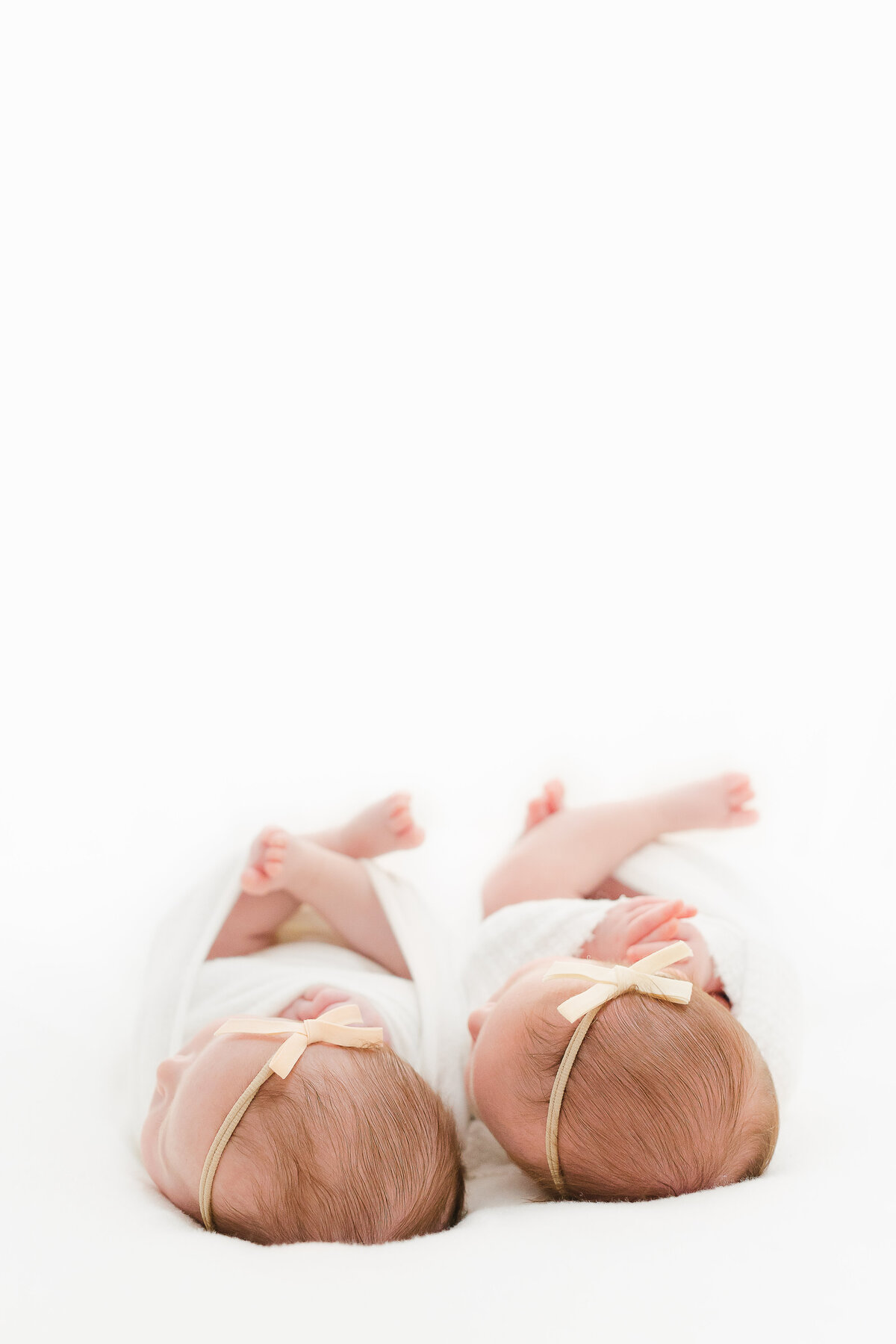 Twin Baby Photo Northern Virginia