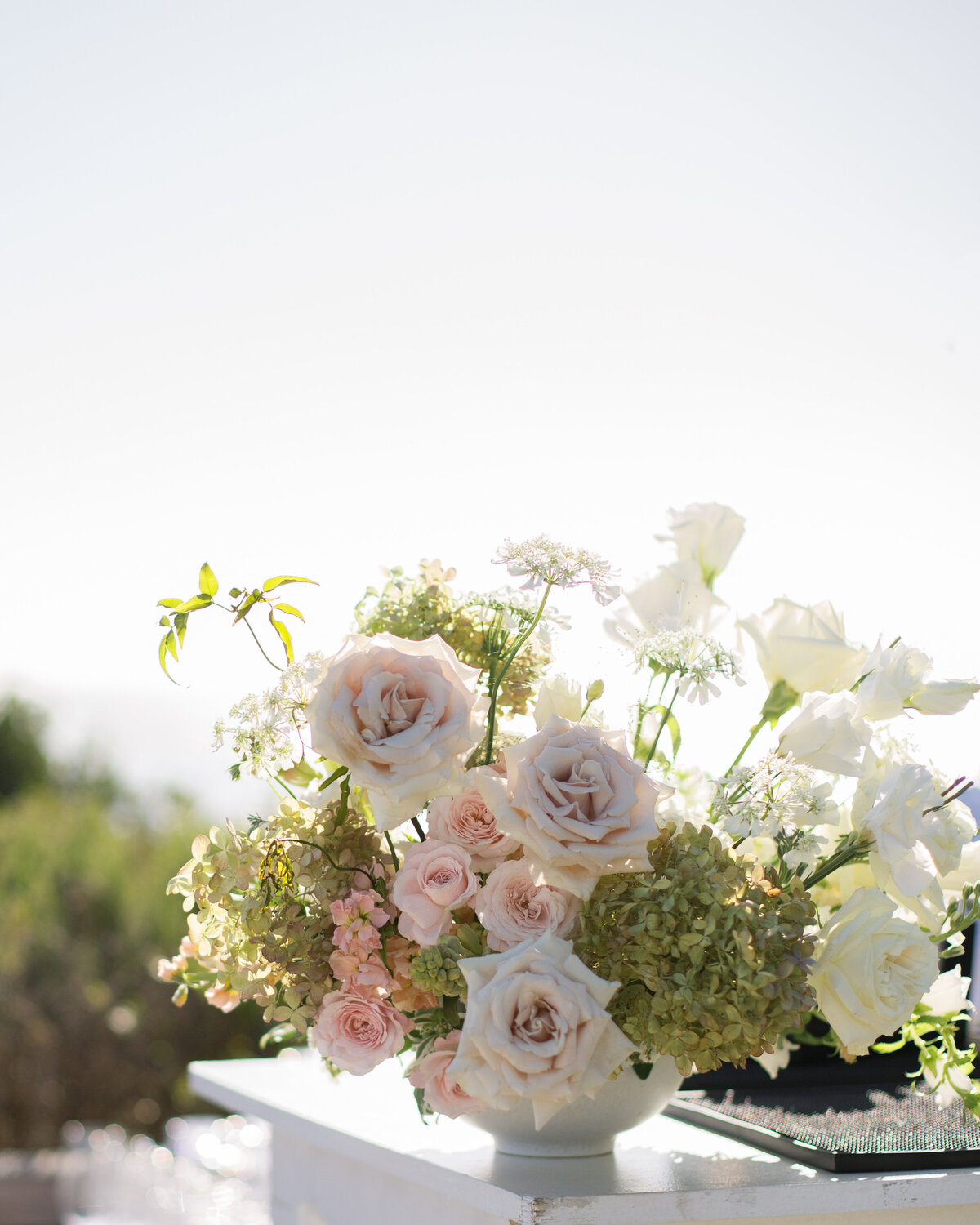 amandacallawayphoto-339