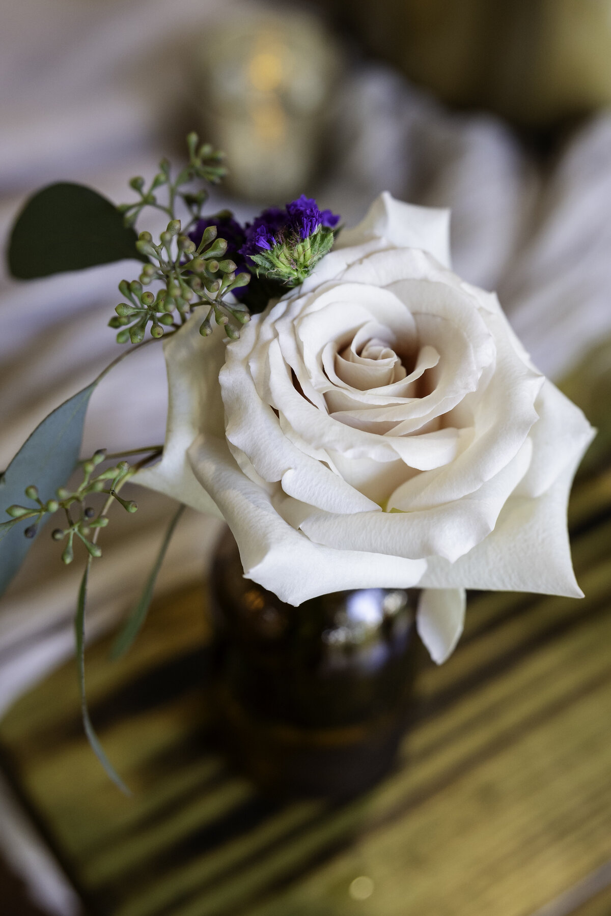 0153-cara-dehart-lewis-photography-del-favero-oasis-tampa-elopement-in-florida-chantilly-chic-celebrations
