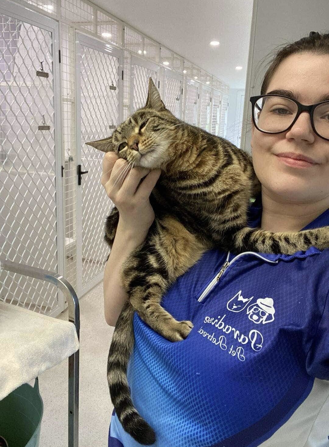 Cat Boarding Ellen