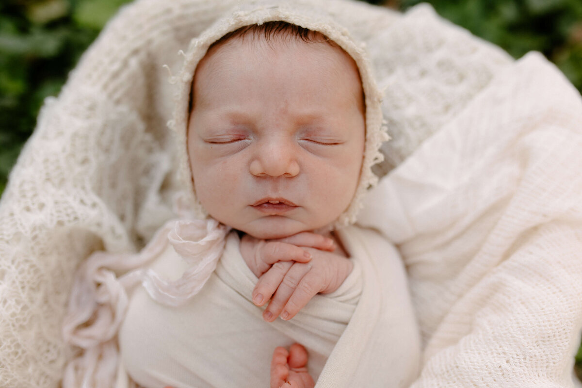 westchester-newborn-photographer