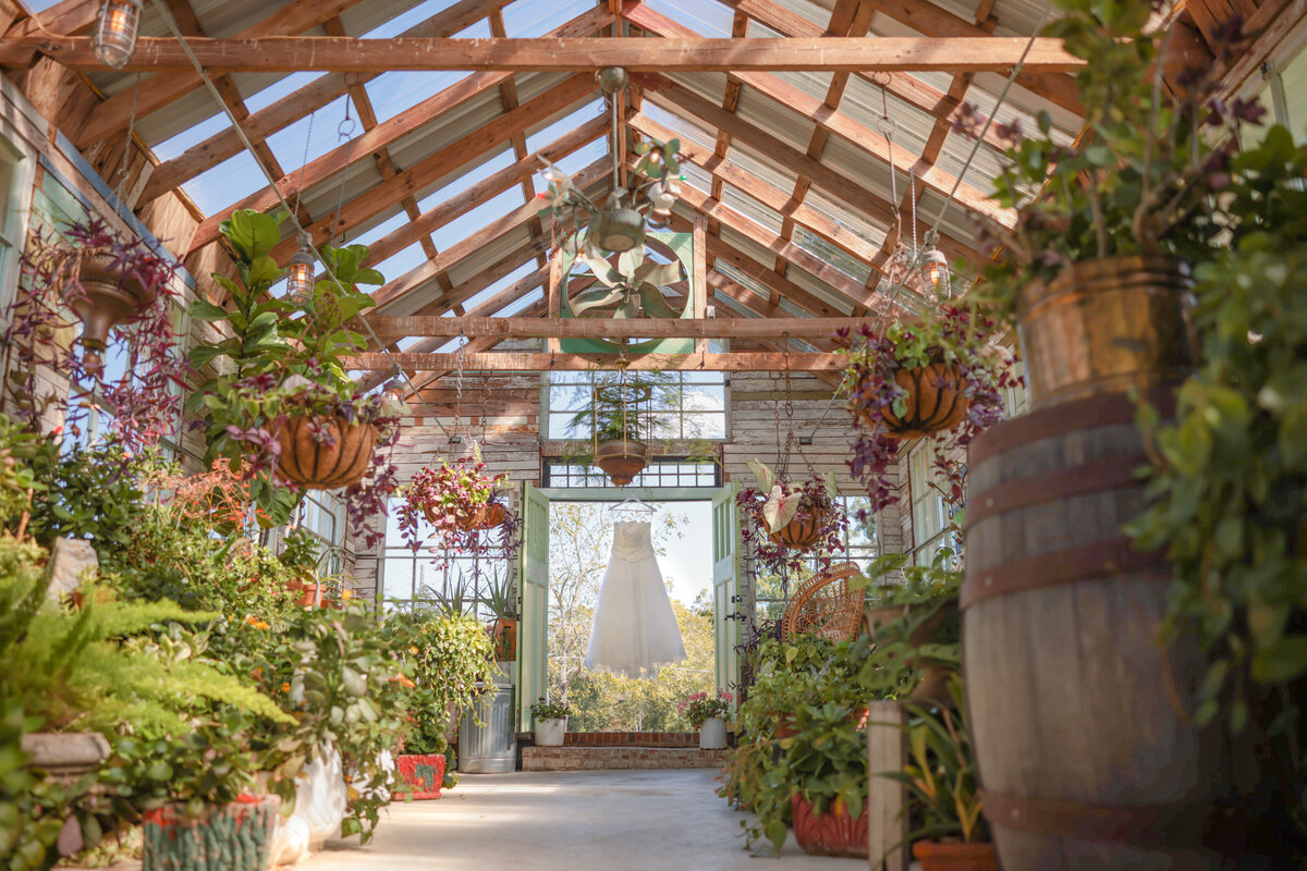 Beautiful sunfilled greenhouse with bridal down hanging from doorway. 