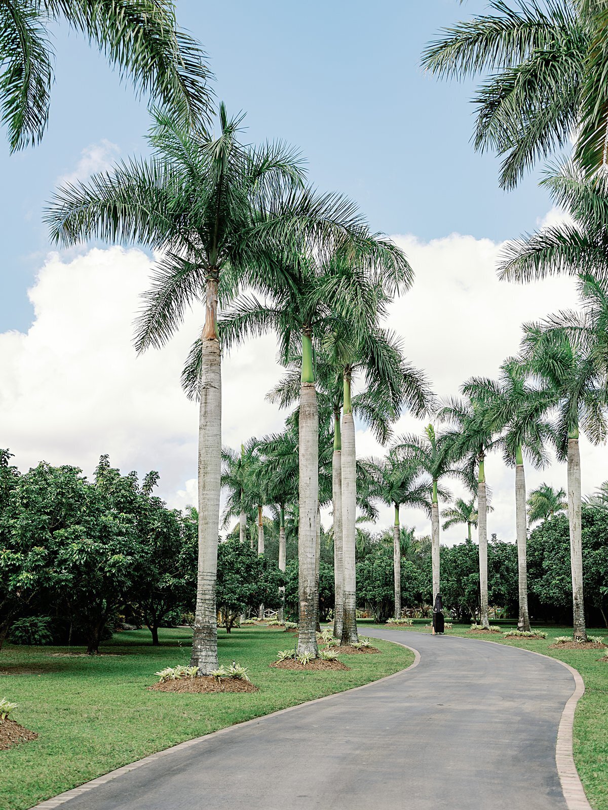 longans-place-wedding-miami-florida-the-hancocks_1221