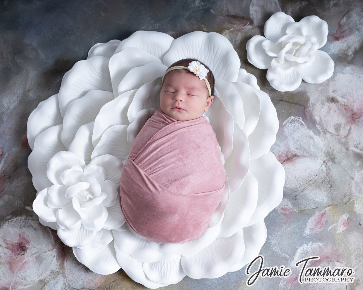 9V1A9540-Edit