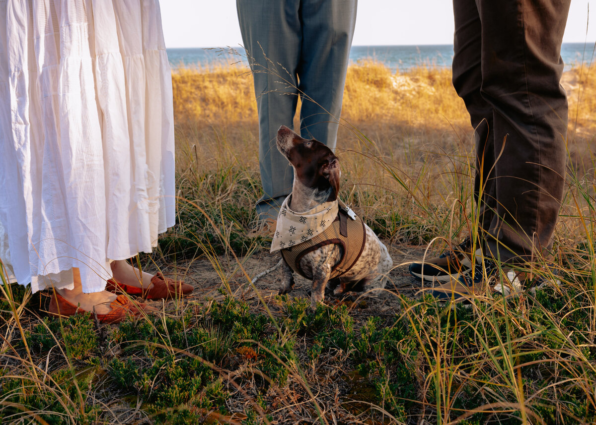 Emily and Jake-Elopement-7