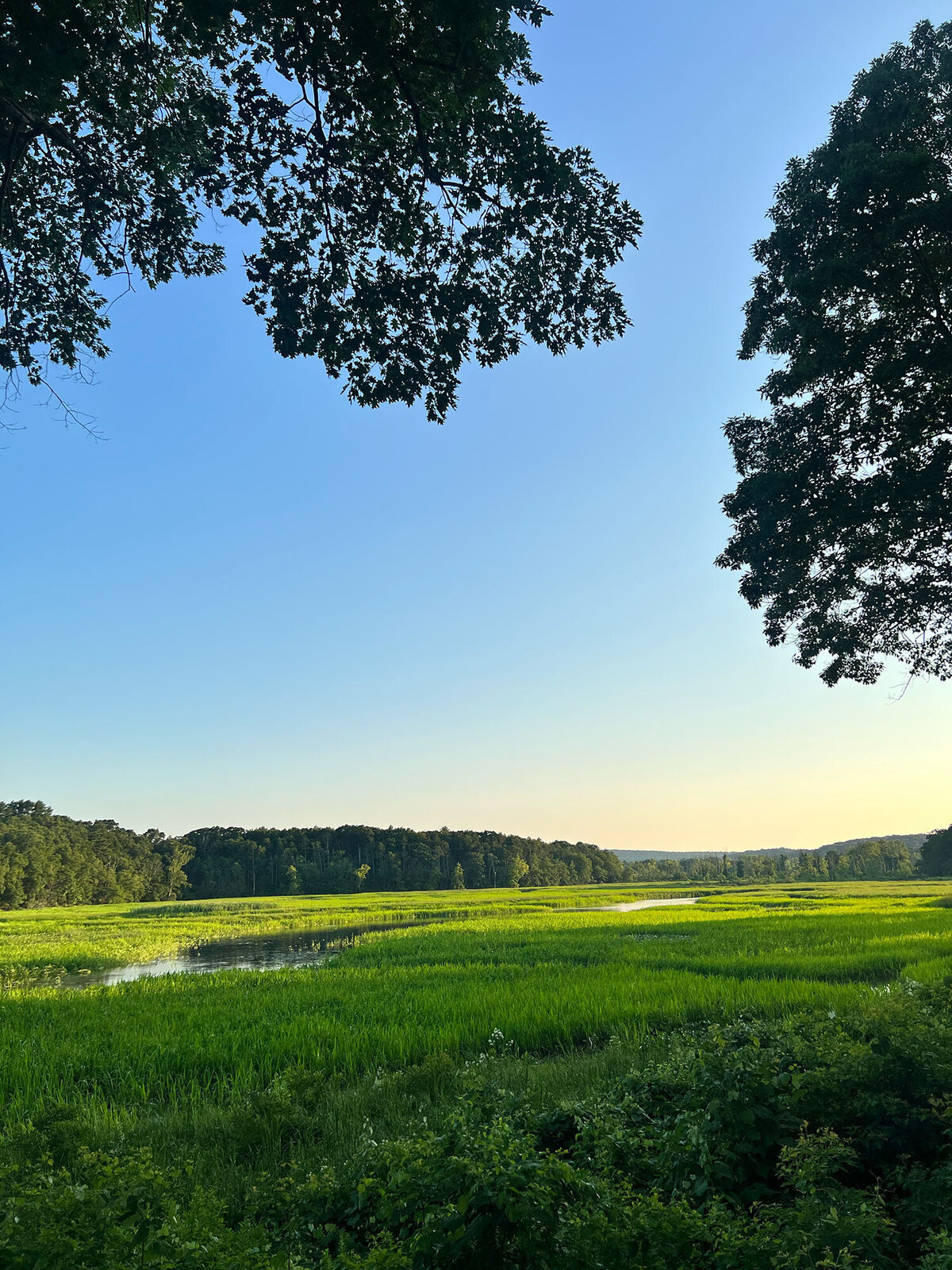 CCC_Estuary_3