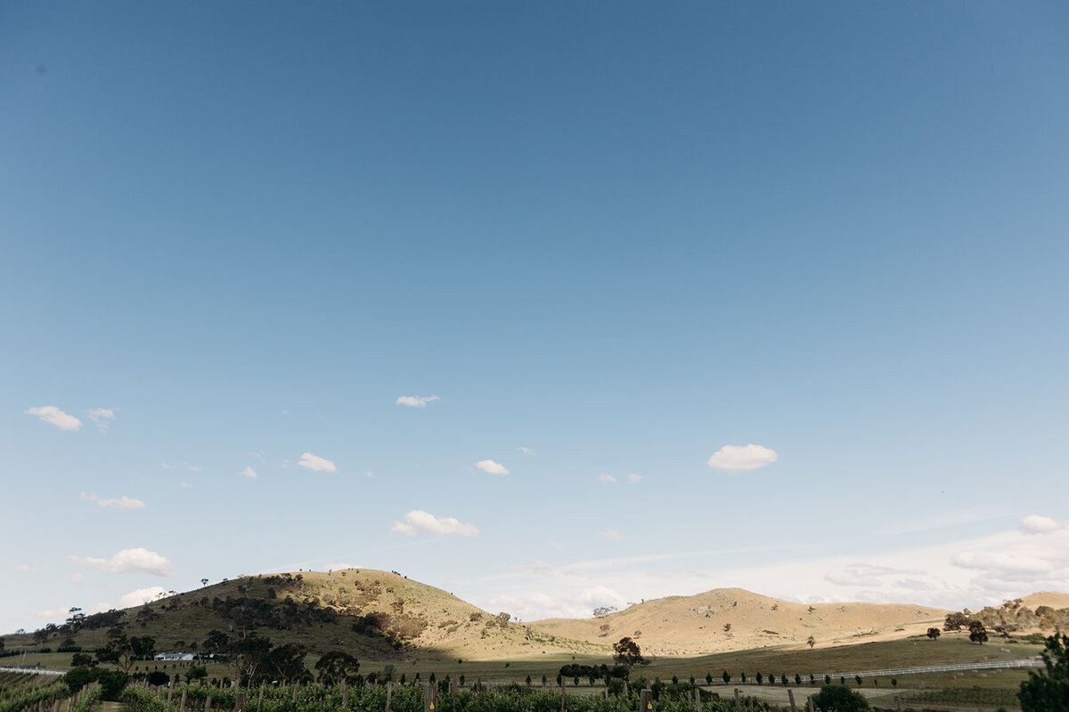 View of the hills and vines at Brindabella Hills Winery