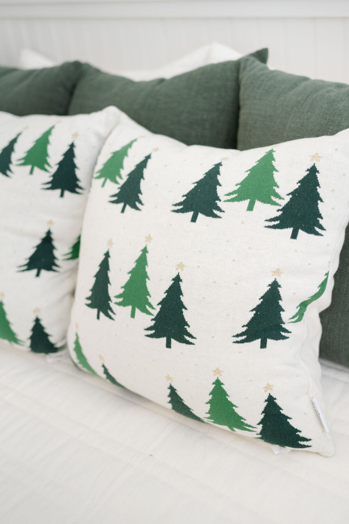 2025 Maine Studio Christmas Minis Gallery-5