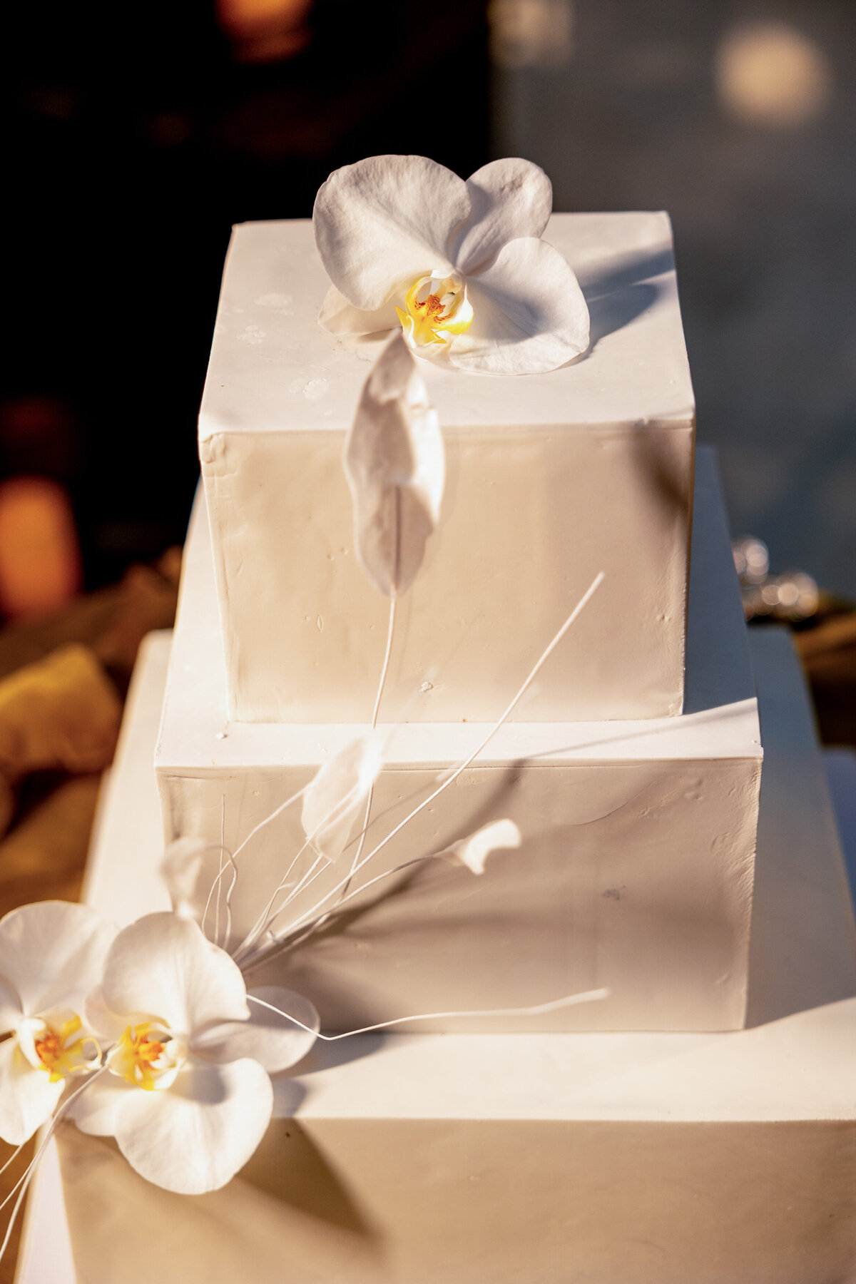 NeriPhoto-jake-chelios-wedding-exchange--134