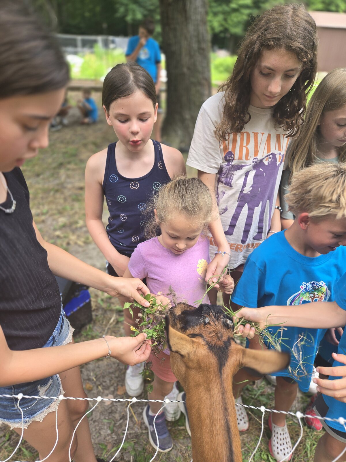 Children feeding a goat at the ROOTS farm
