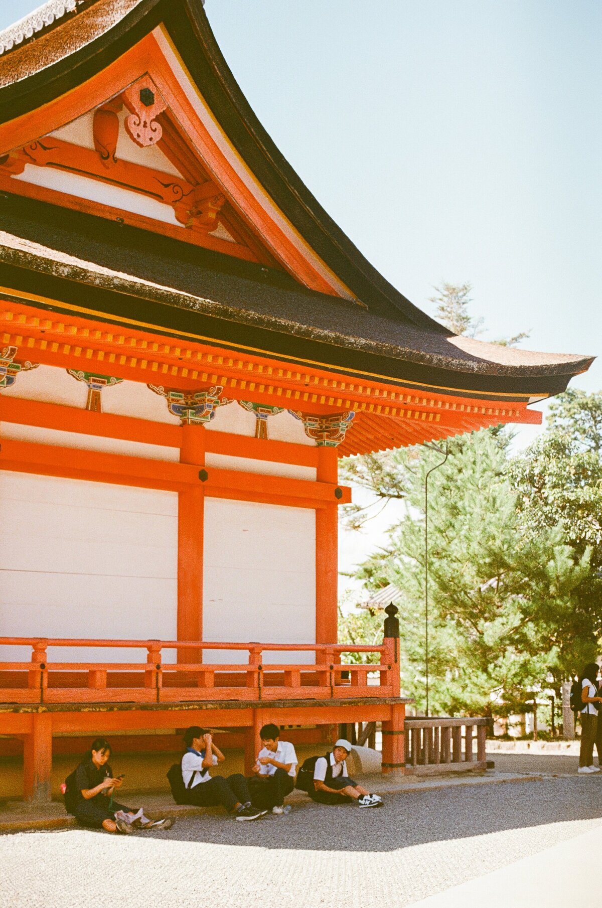 Rainstone Photography 241031 Japan & Seoul Trip-23