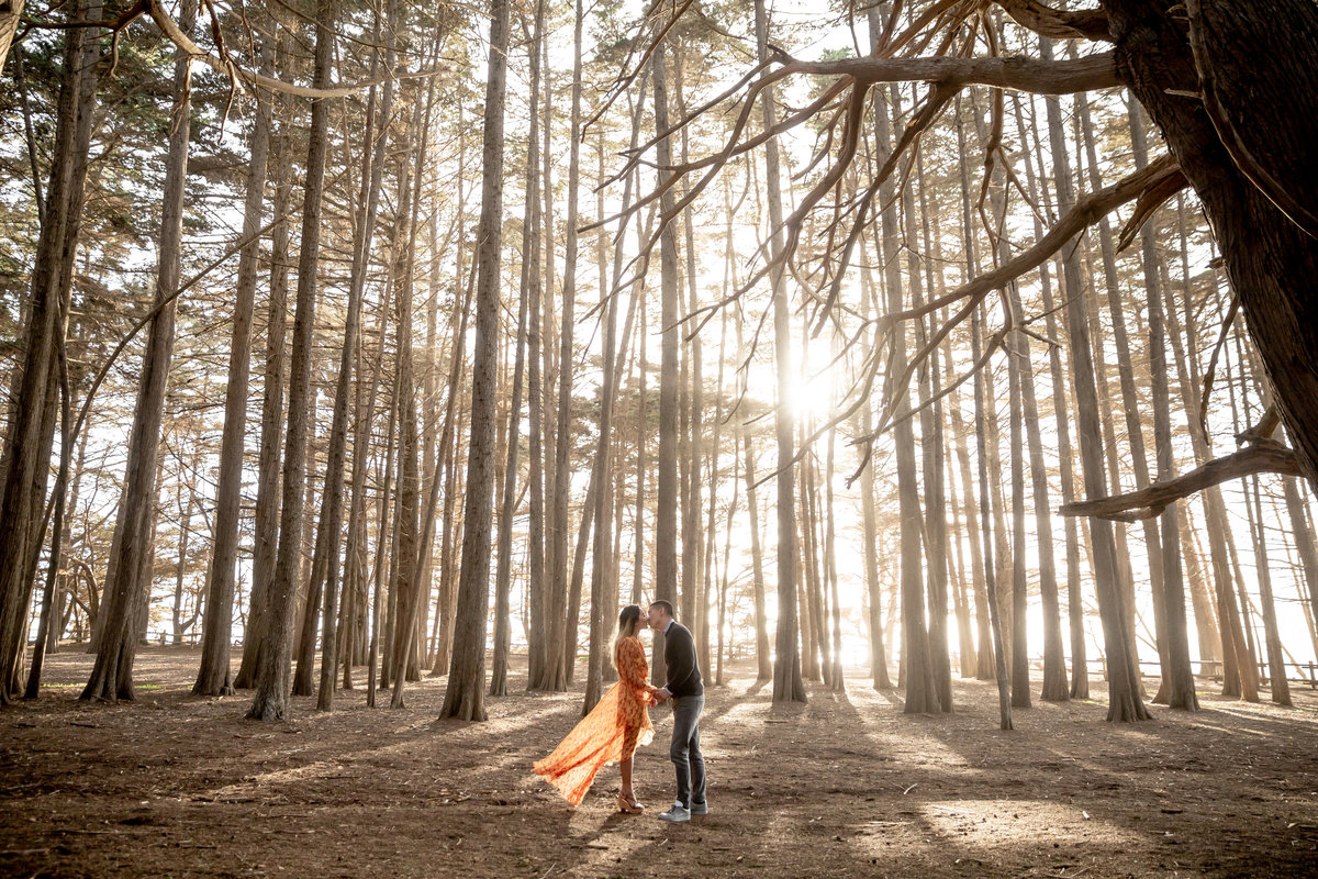 lcphoto-AA-engaged-010
