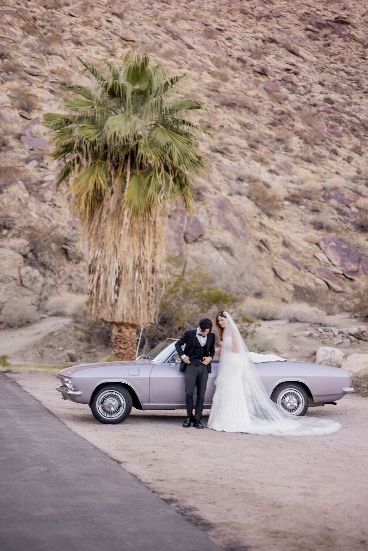 Newlyweds walking away hand-in-hand, framed by a lavender convertible and palm trees against desert cliffs.