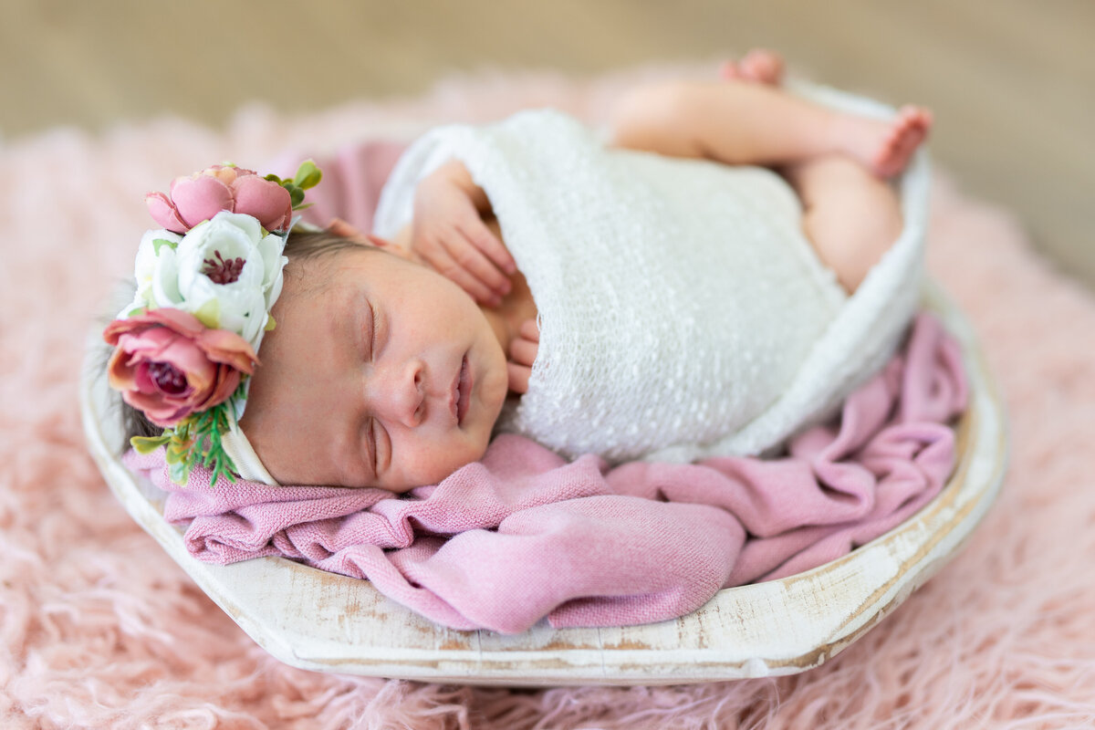 Baby Esmeralda Rose-46