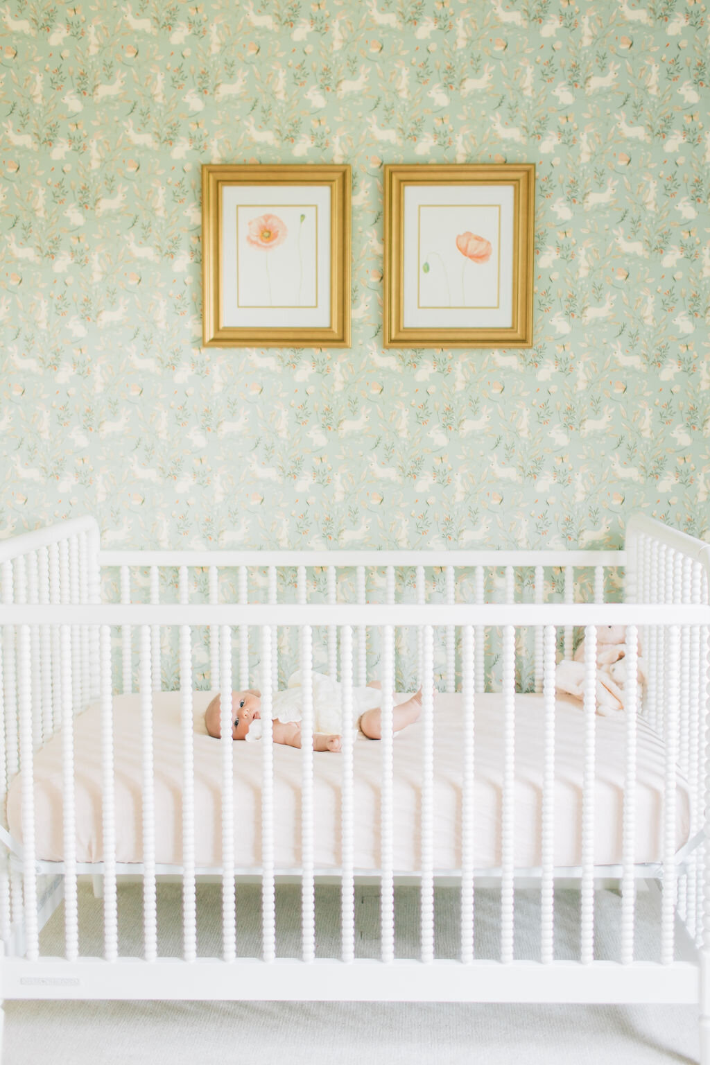 Poppy_DecoraToppPhotography2024-3413