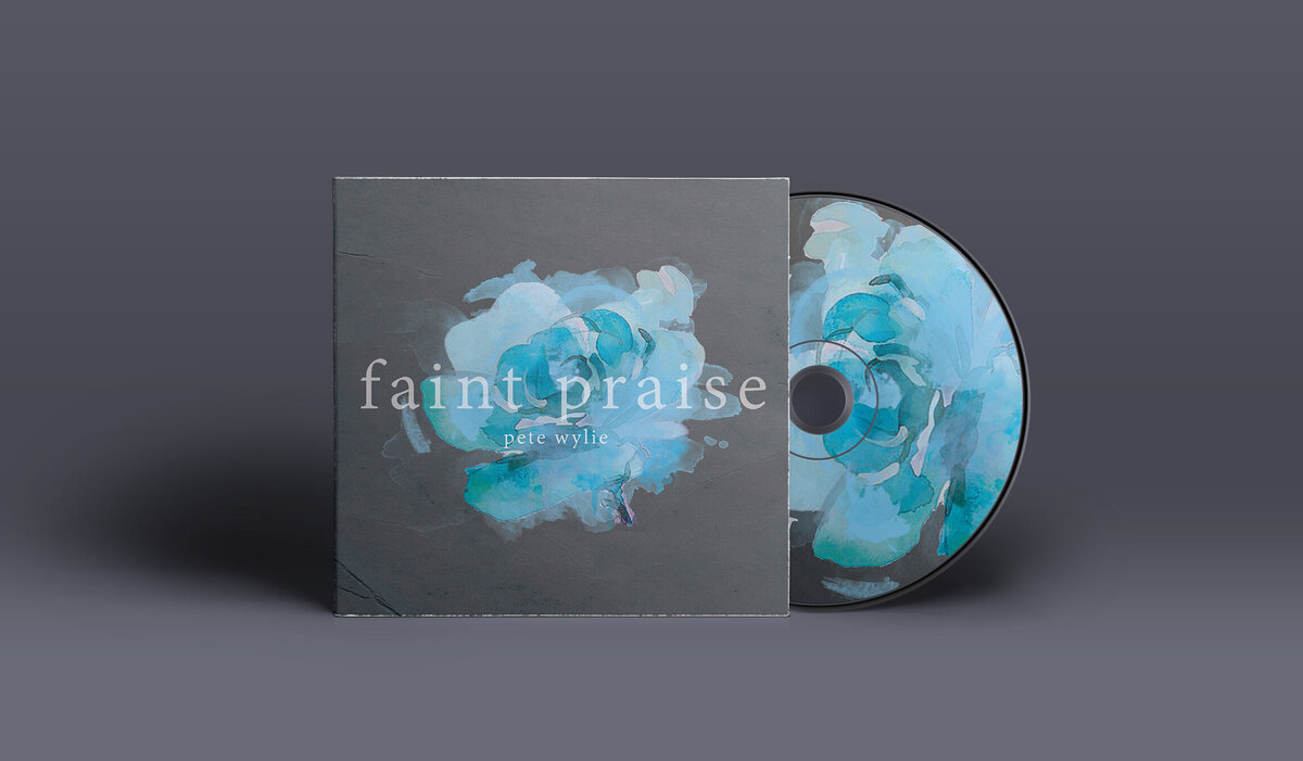 design-faint-praise-album-art