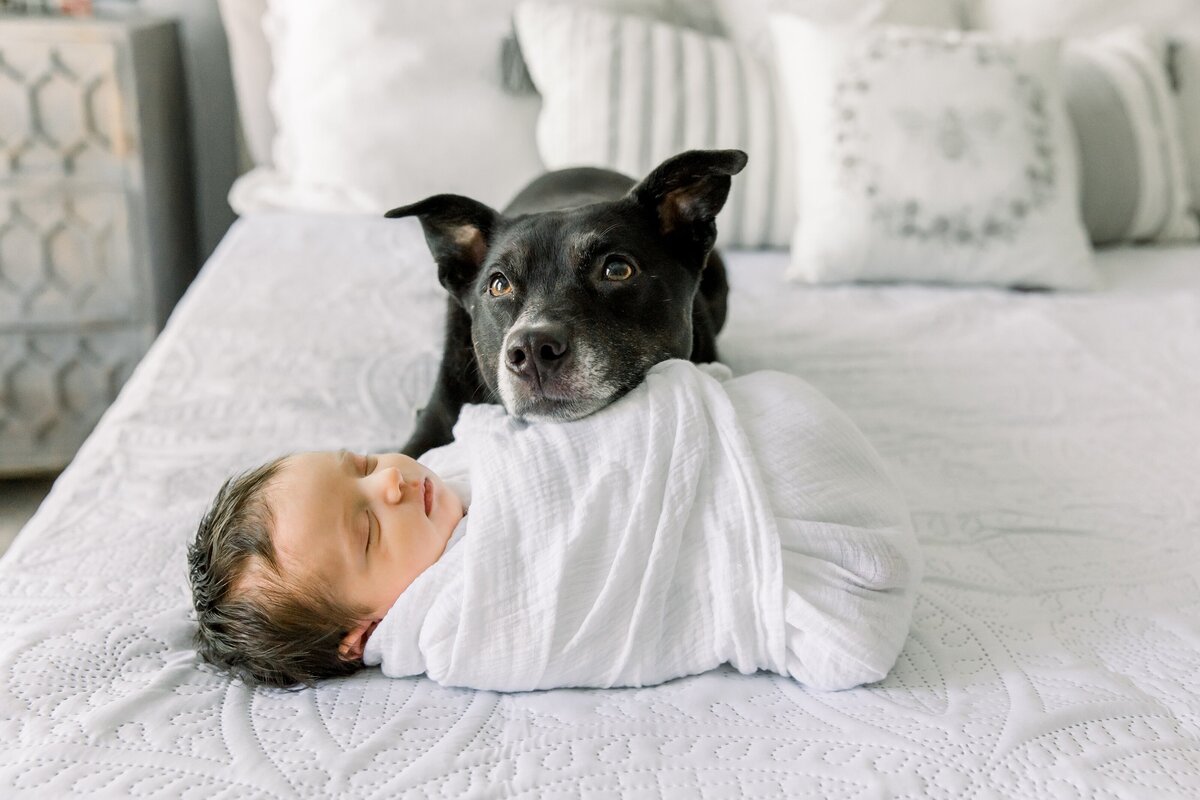 Amann Newborn-Samantha Laffoon Photography-36