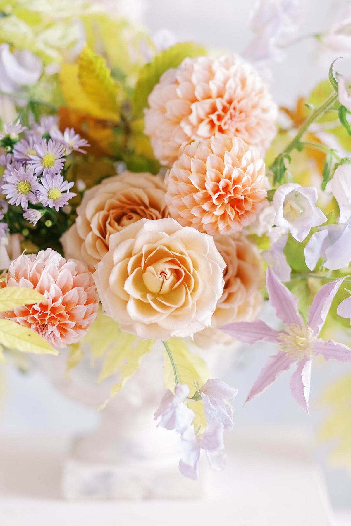 Formation I Classes florales Capucine I 1 to 1 &