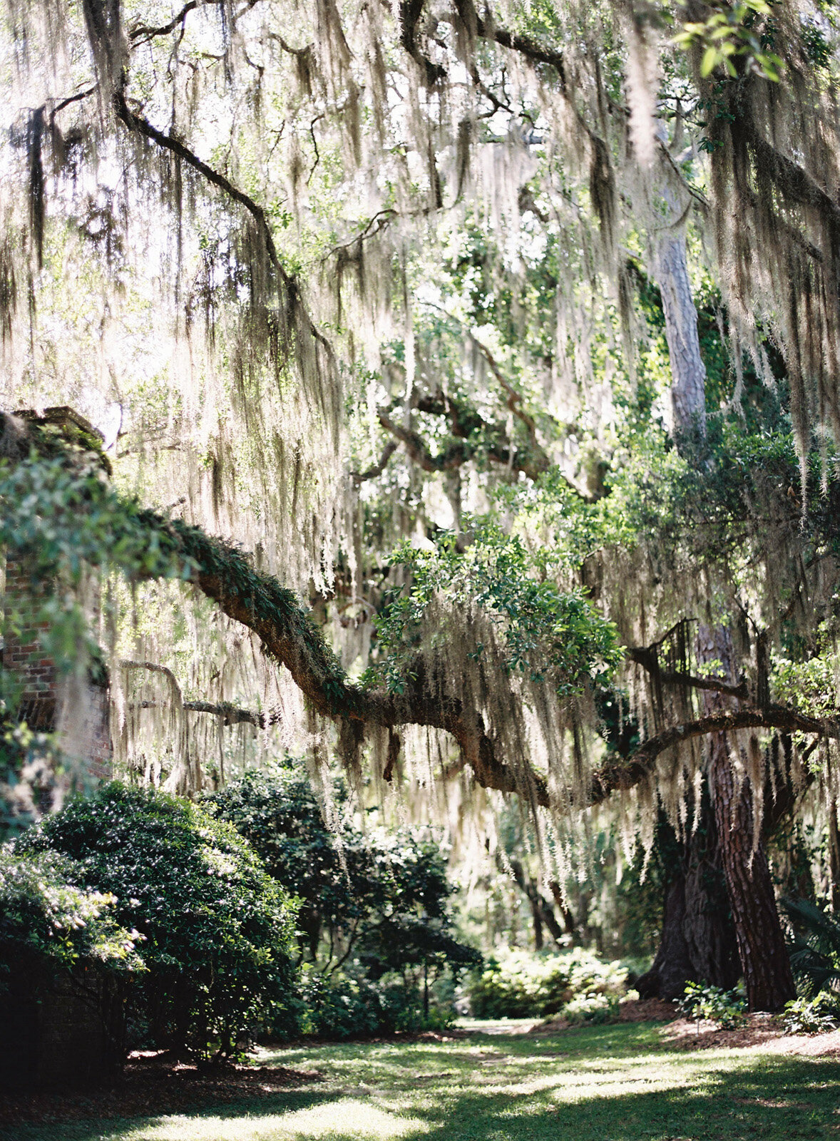 Luxury Southern Tented Wedding on Sea Island, GA-13
