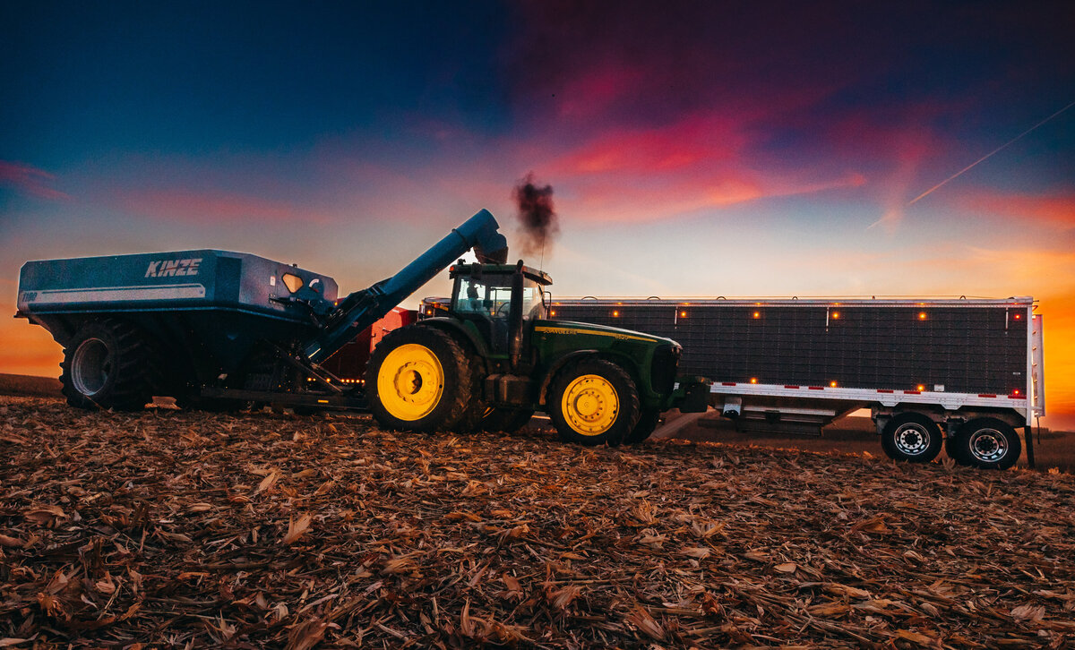 5K3A6063