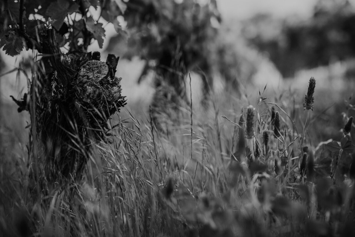 windows-estate-yallingup-margaret-river-freedom-garvey-photographer-003