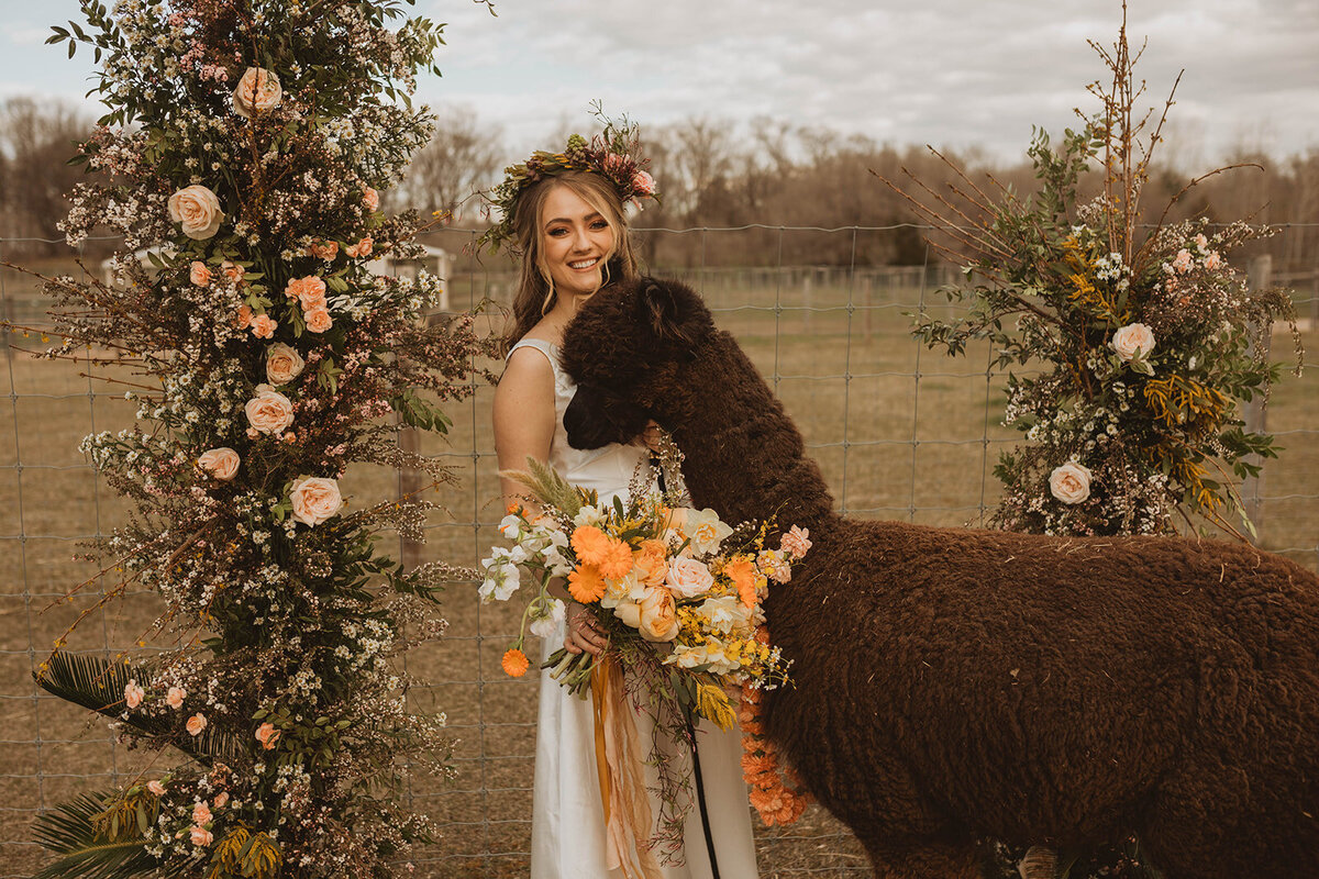 Alpaca Styled Shoot-229