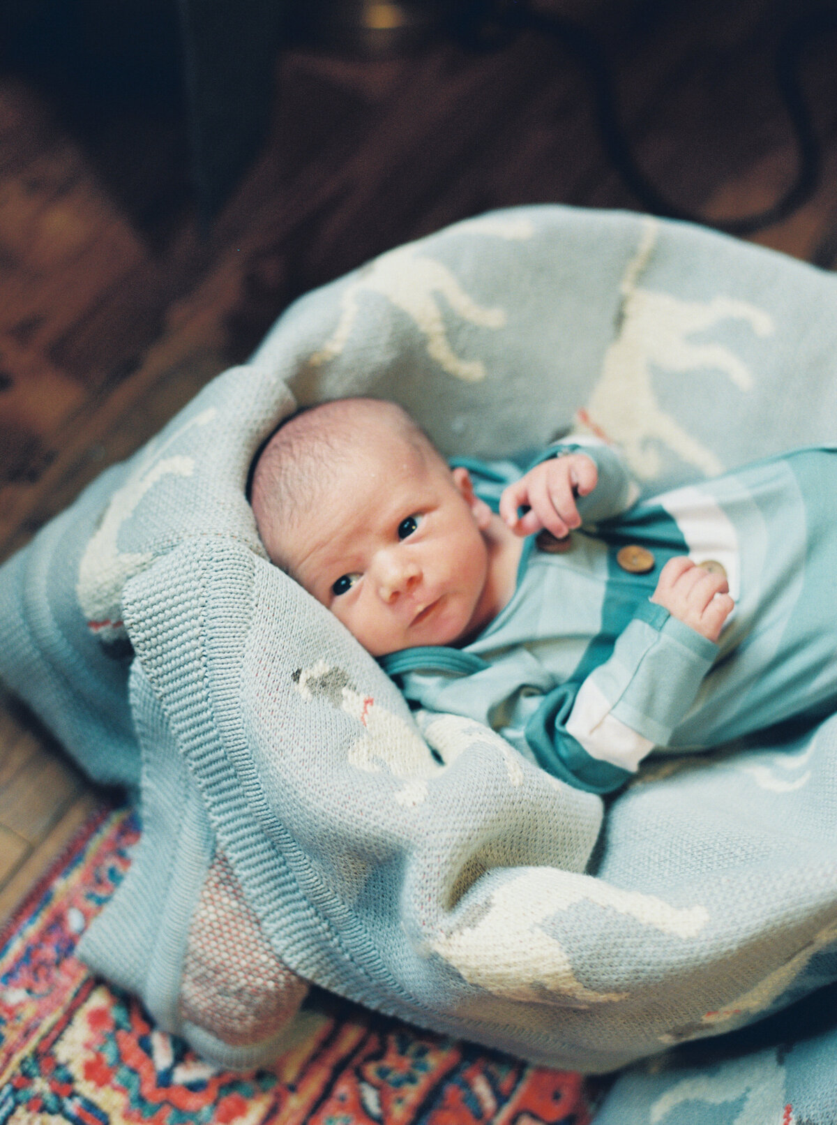 newborn-session-danielle-james-photography-14